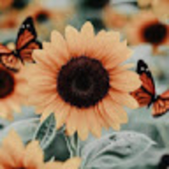 Meet your Posher, Daniela - Picture 1 of 1